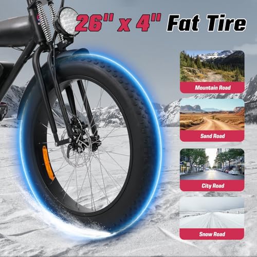 Electric Bike 48V 13Ah 750W 20" Fat Tires UL Certified D7815