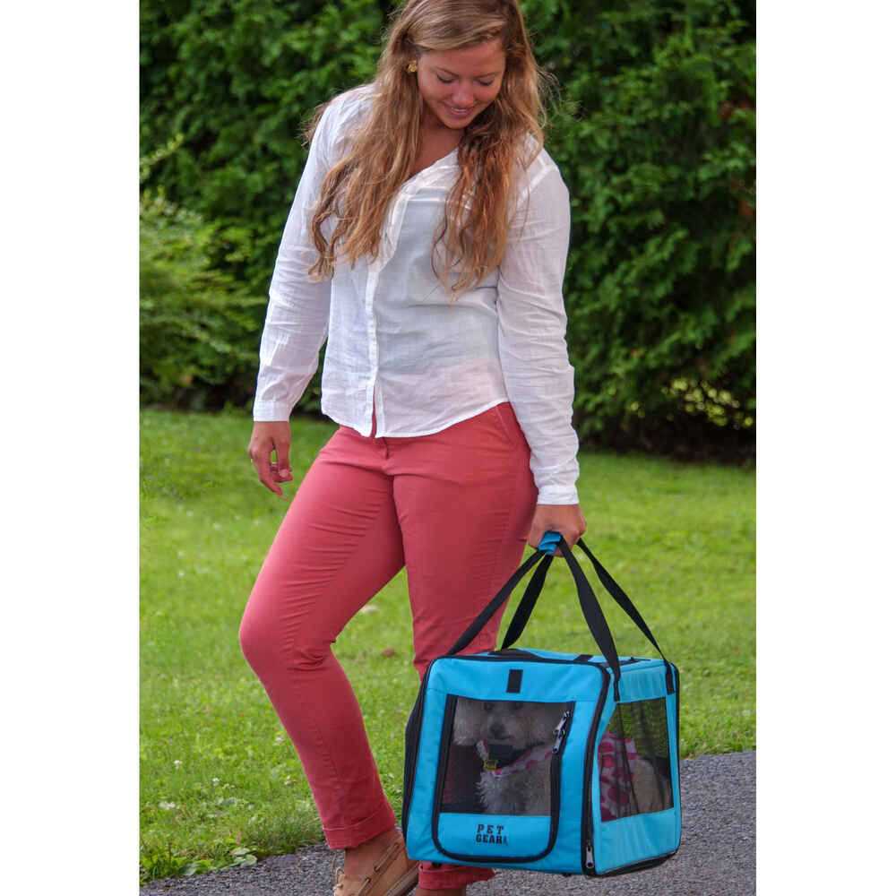 Pet Car Seat & Carrier F452