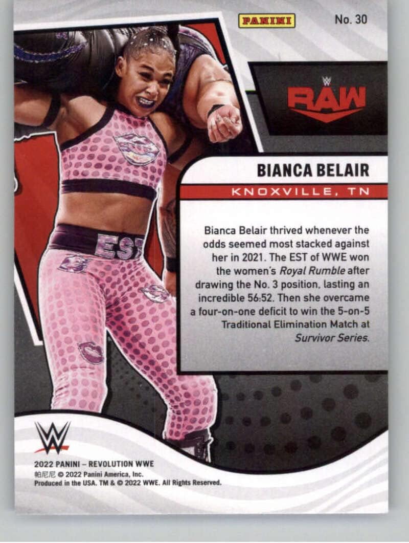 WWE Card E8654