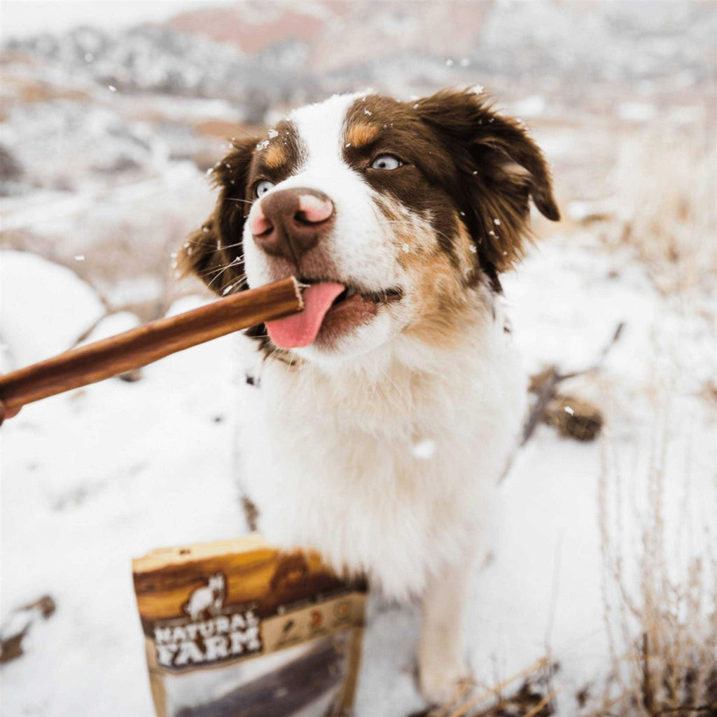 Odor Free Bully Sticks X710