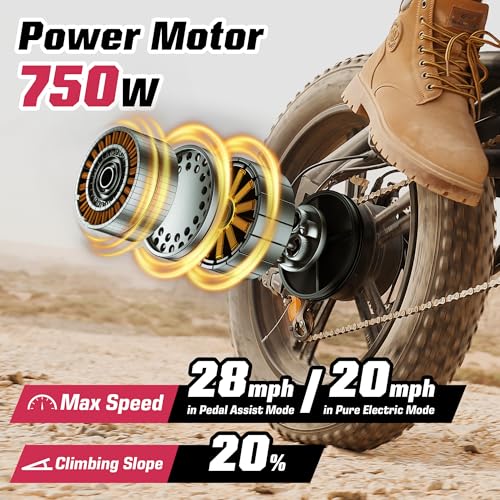 Electric Bike 48V 13Ah 750W 20" Fat Tires UL Certified D7815