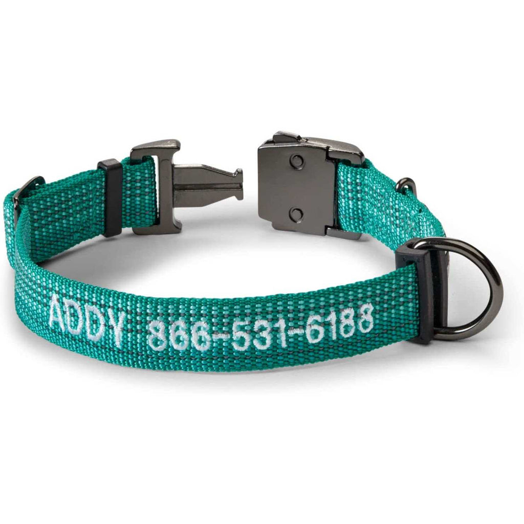 Dog Collar C5260