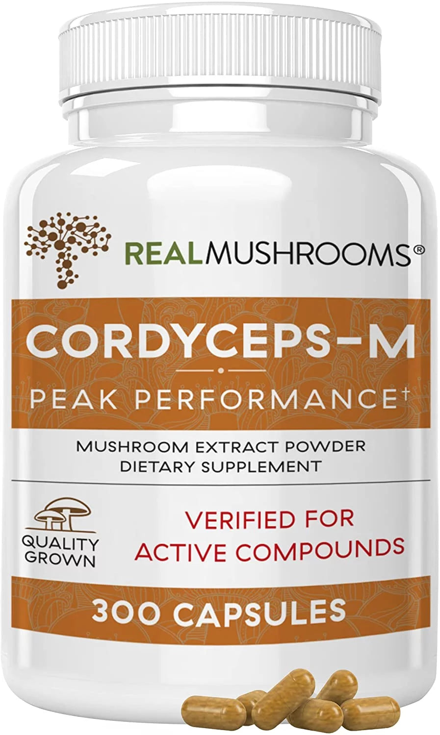Cordyceps Supplement Y4264