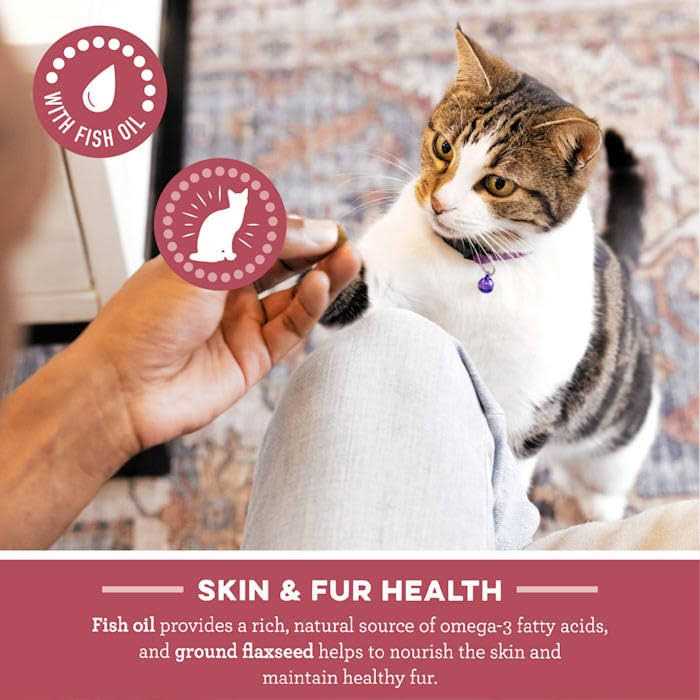 Salmon Dental Cat Treats C675