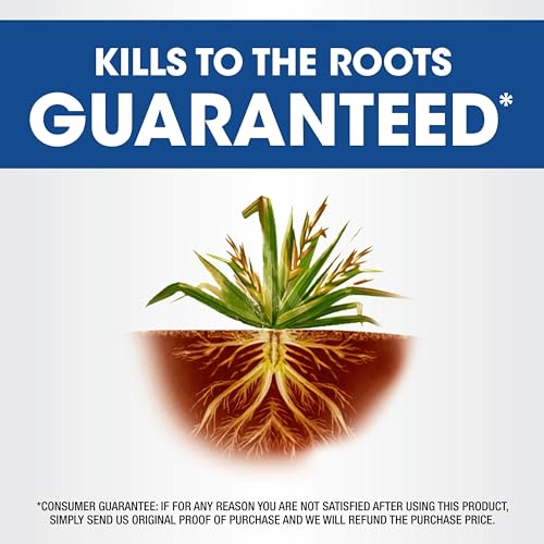 0.5 gal. Weed & Grass Killer R318