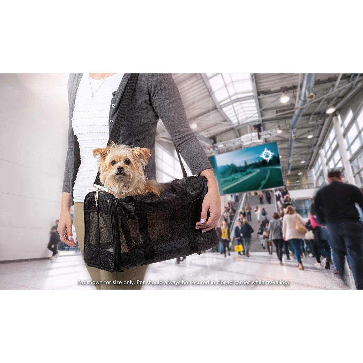Pet Carrier R708718