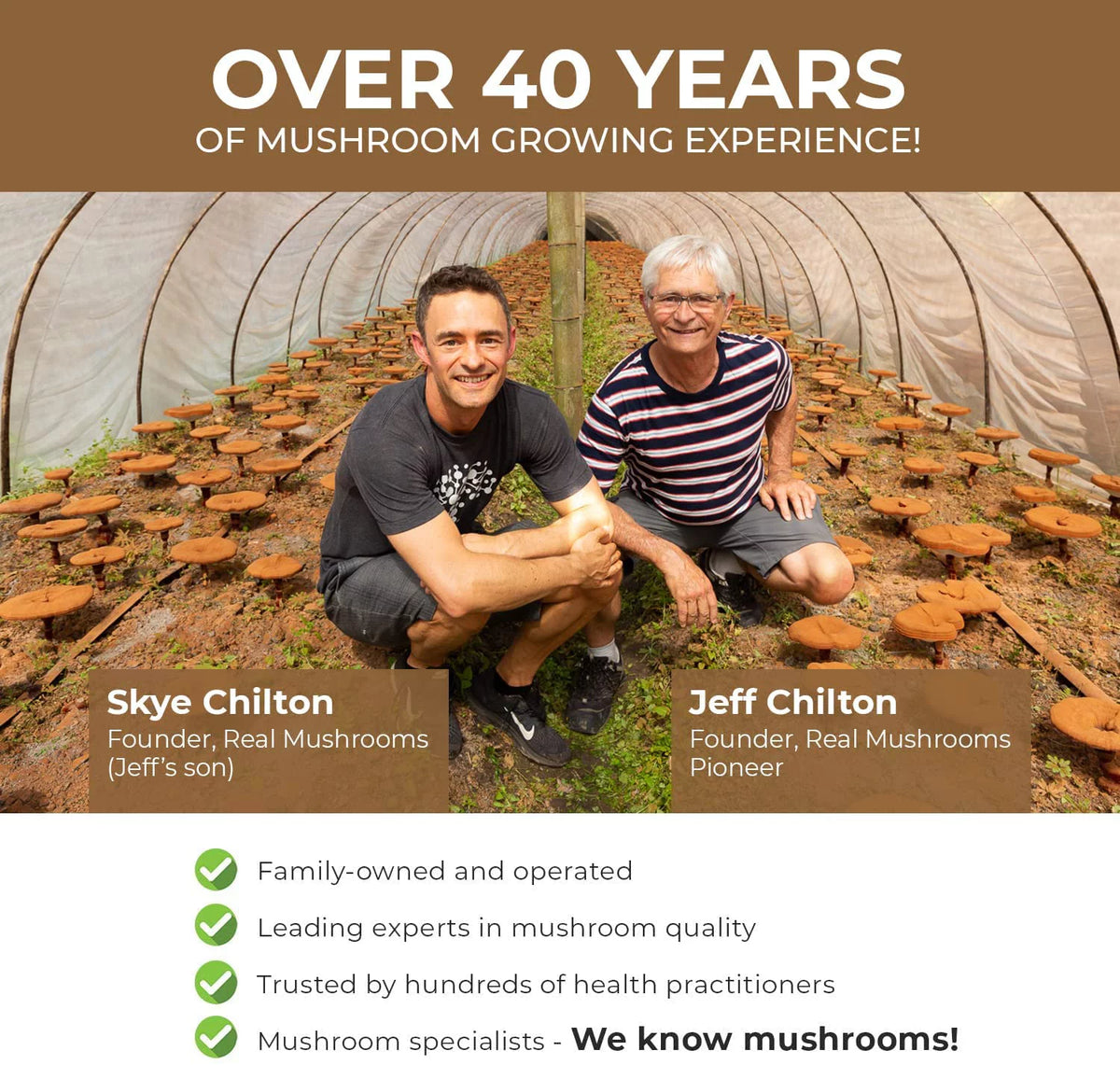 Cordyceps Supplement Y4264