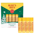 4 Pack Fruit Lip Balm T212
