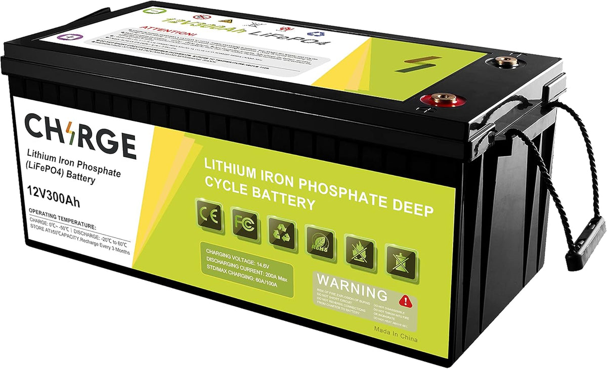 12V 100Ah Lithium Battery with 100A BMS LiFePO4 Deep Cycles Battery Y7402