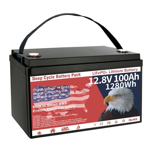 12V 100Ah LiFePO4 Lithium Battery Group 31 1280Wh Low-Temp Protection F470