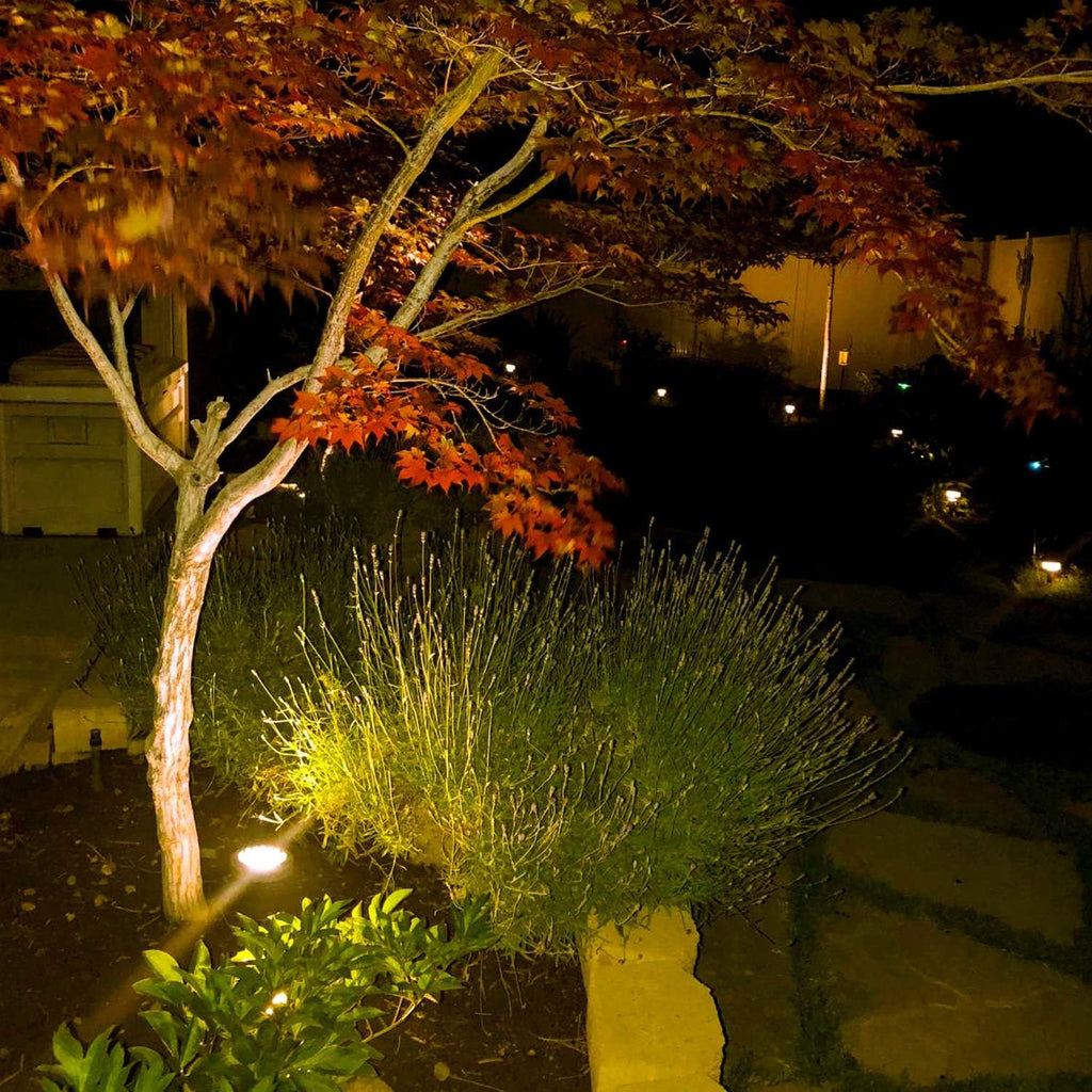 Low Voltage Landscape Well Light 35 Watt Y370
