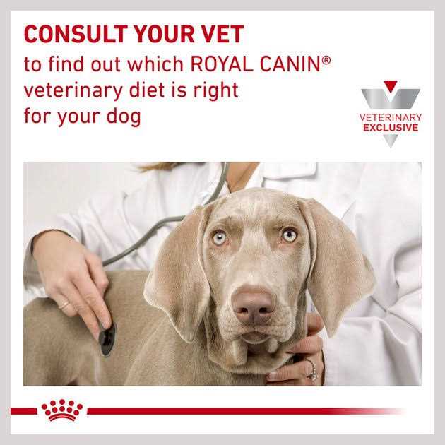Veterinary Diet Skin Support Dry Dog Food Z456
