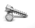 Sheet Metal Screw Indented Hex Head Zinc Plated V823