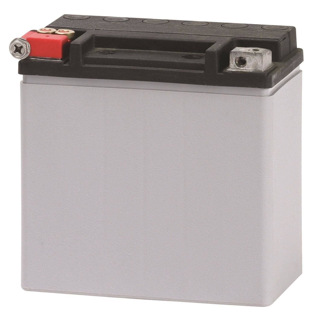 AGM Power Sport Battery 220 CCA D382