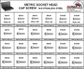 Stainless Metric Socket Head Cap Screws Assortment S7843