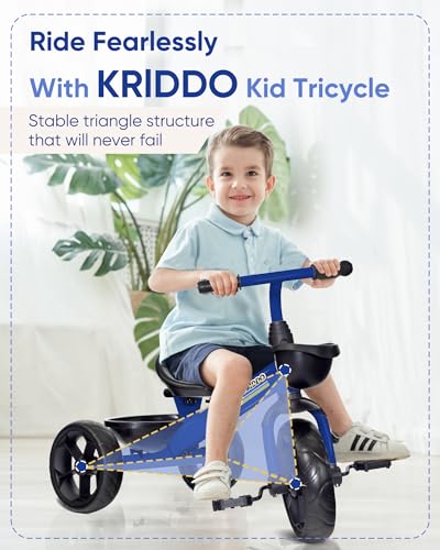 Blue Kids Tricycle M8539