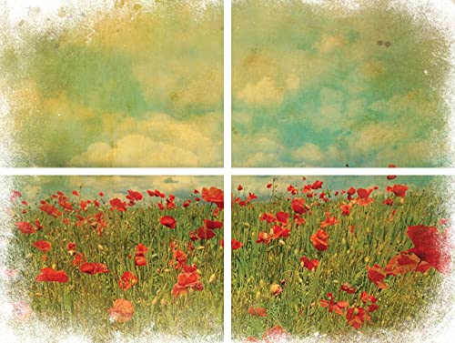 Cotton and Eucalyptus 24.8” x 38.8” Sheet Rub On Decorative Transfer U9180