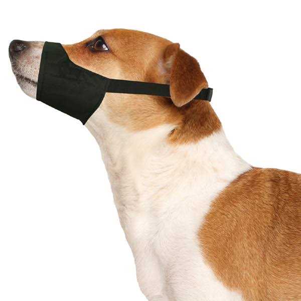 Muzzle F726
