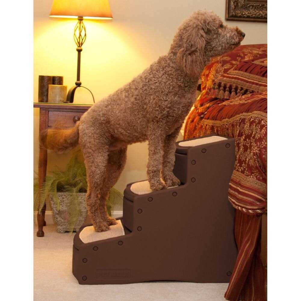 Pet Gear Easy Step III Pet F624