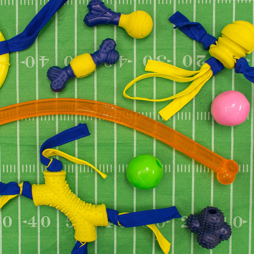 Tennis Play 'n Fetch Interactive Dog Toy Y103497