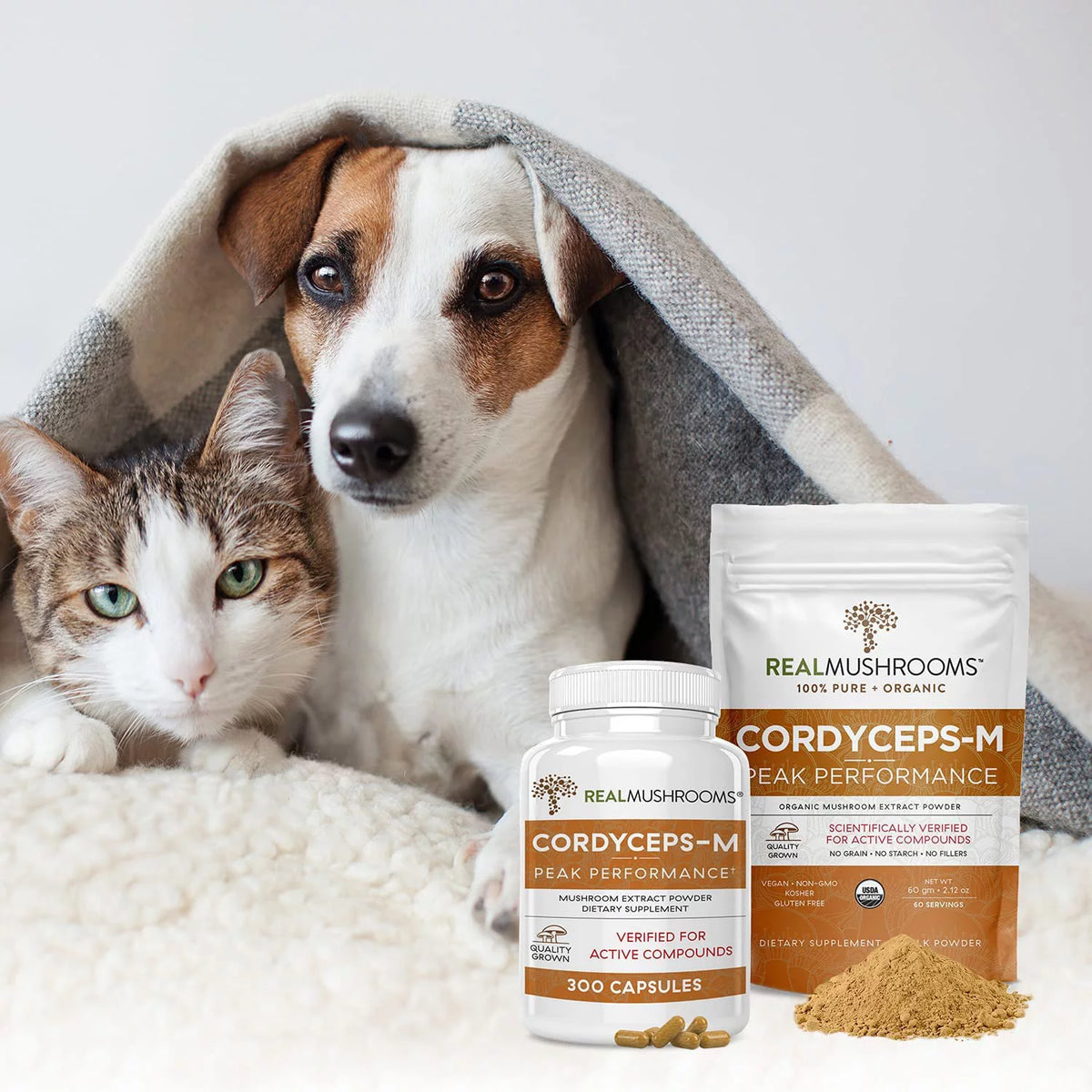 Cordyceps Supplement Y4264