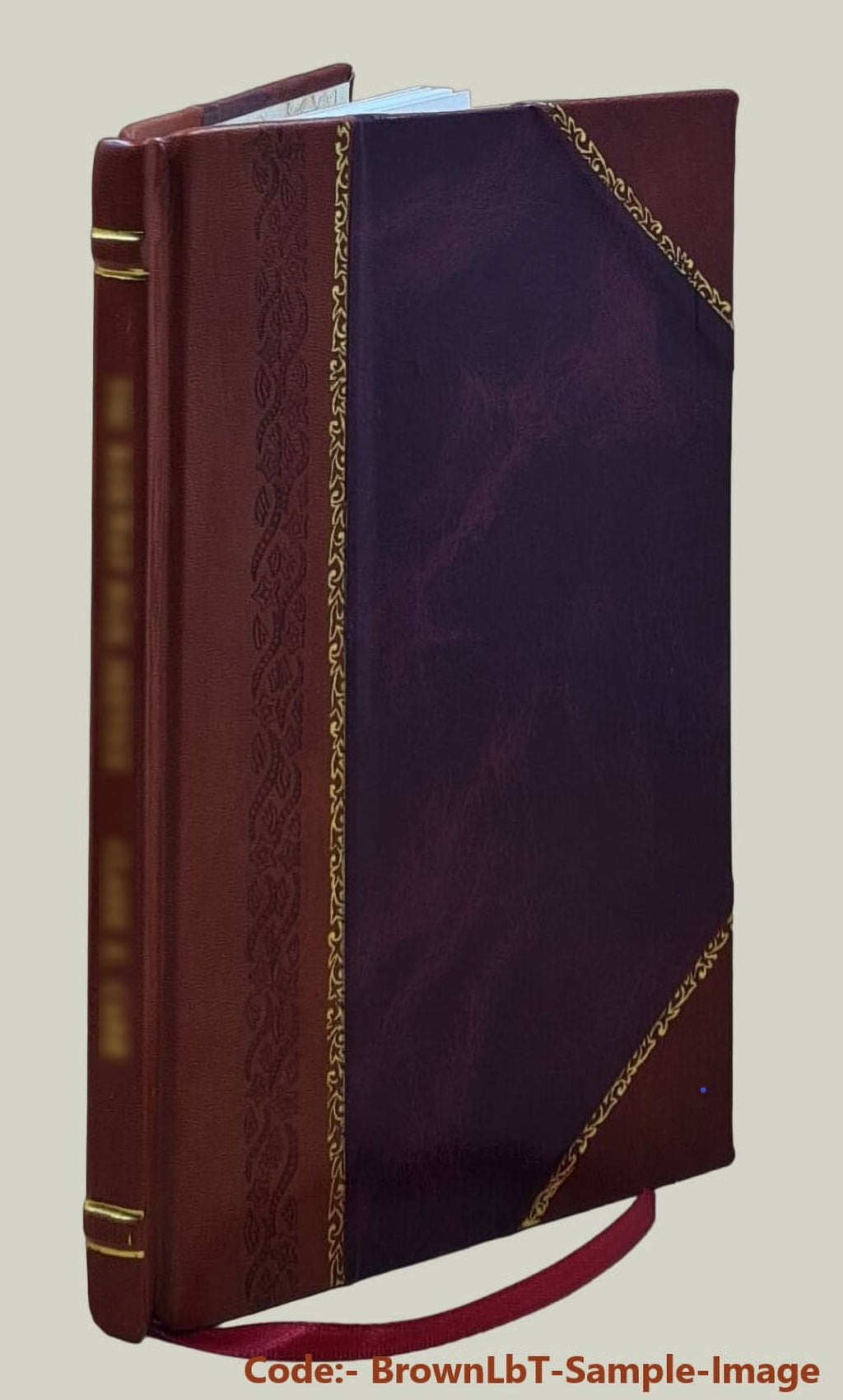 Zanzibar Customs and Religious Beliefs 1920 Leather Bound L709