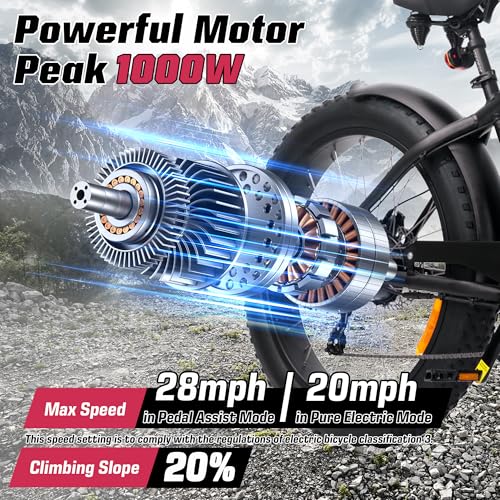 Electric Bike 48V 13Ah 750W 20" Fat Tires UL Certified D7815