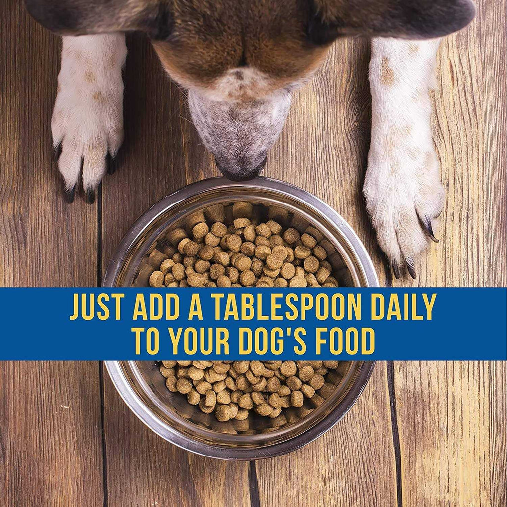 Liquid Supplement for Dogs U42596