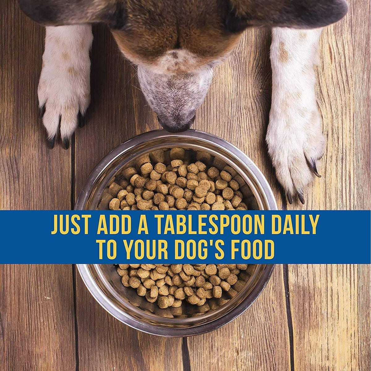 Liquid Supplement for Dogs U42596