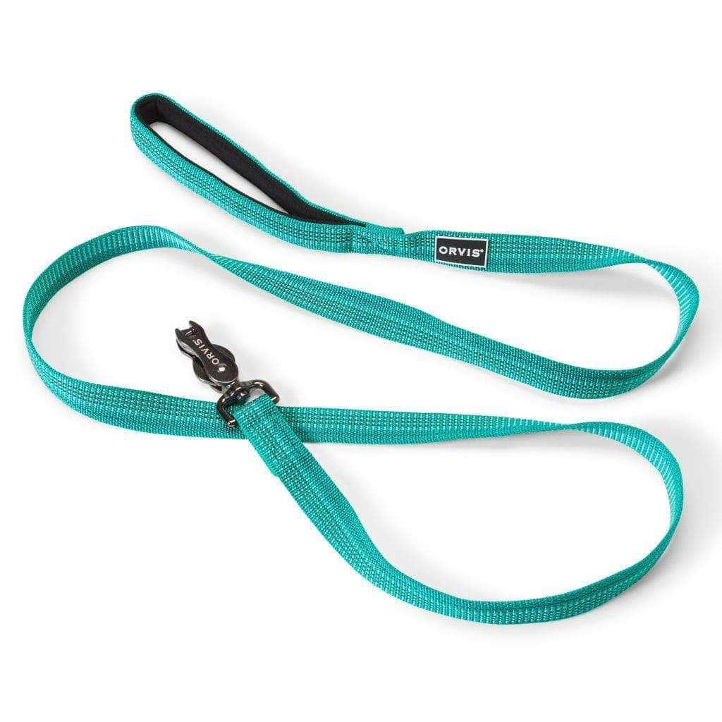 Dog Collar C5260