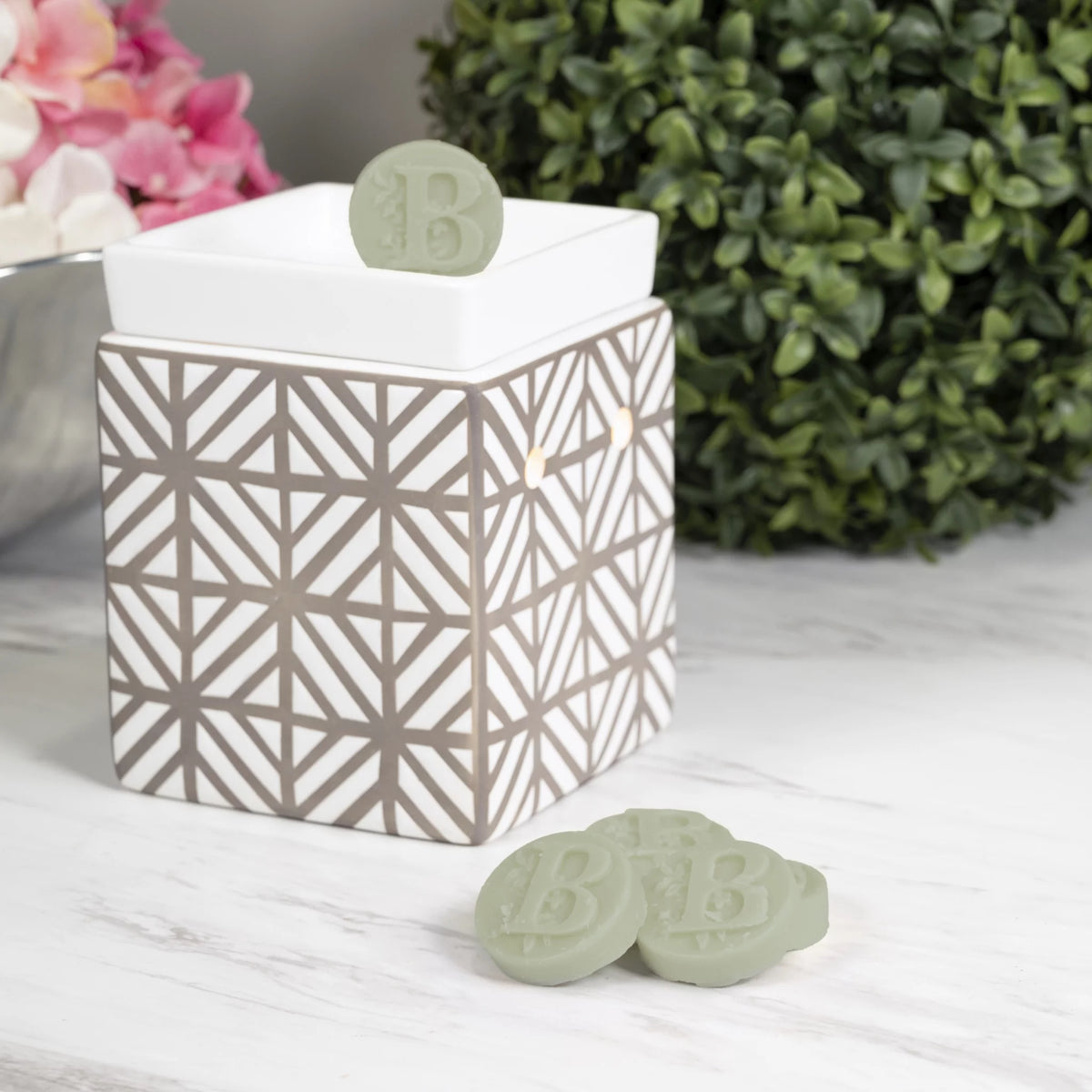 Bergamot & Sage Essential Oil Infused Wax Melts 2.75 oz L388