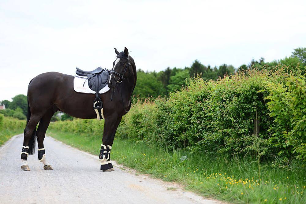 Saddle Pad B7756