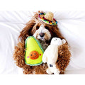 Avocado Dog Toy H299