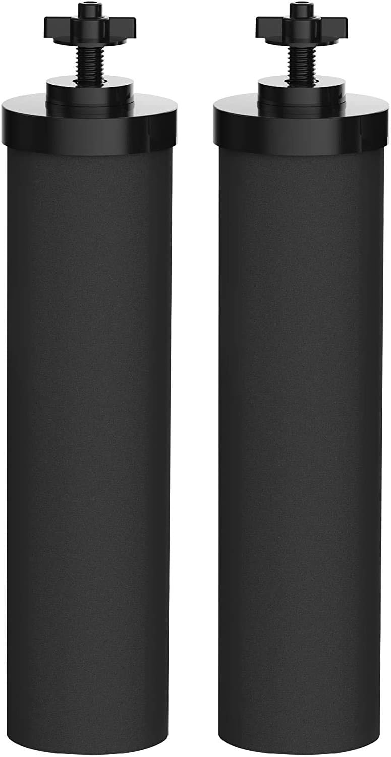 2 Filters Black Water Filter Cartridge Z165122