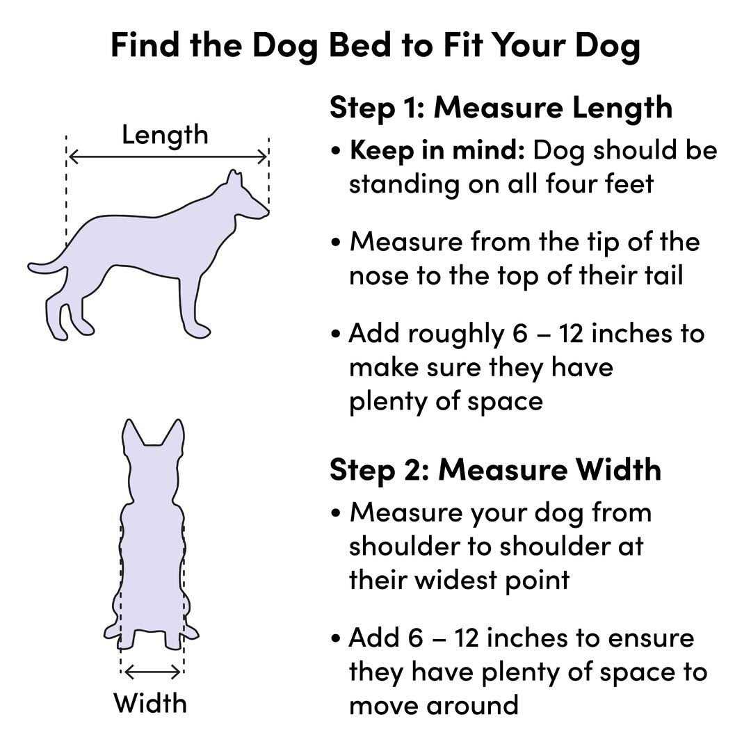 Pet Products P913500