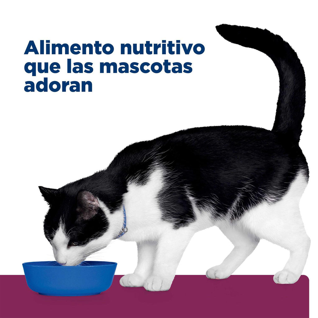 Gastrointestinal Health Dry Cat Food M398293
