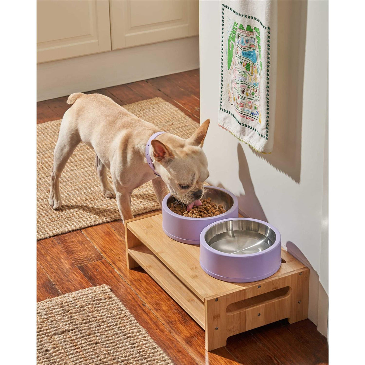 Pet Bowl J26031