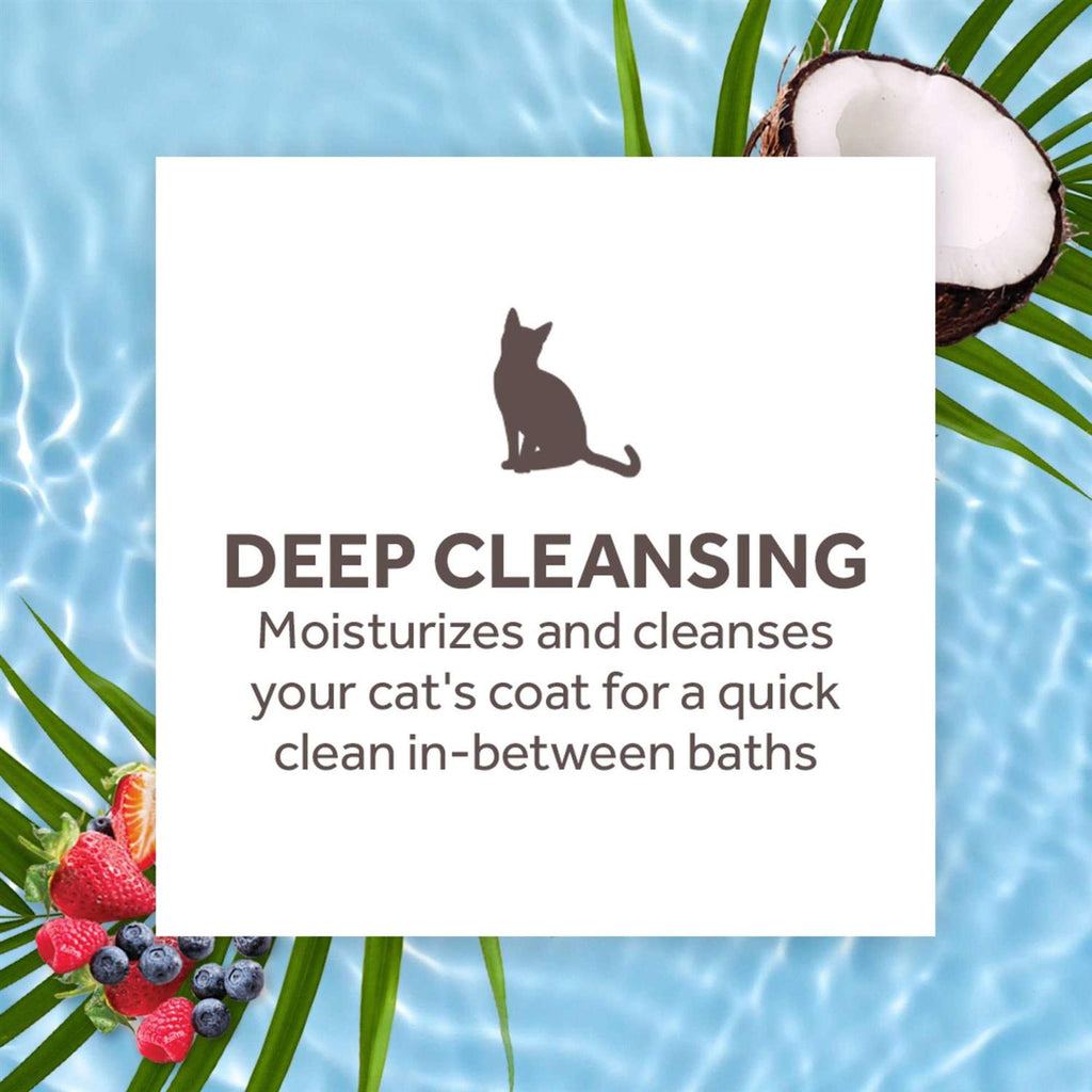 Waterless Deep Cleaning Cat Shampoo Y53283