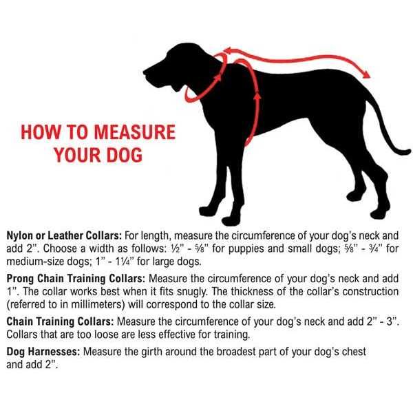 Comfort Mesh Harness H743387