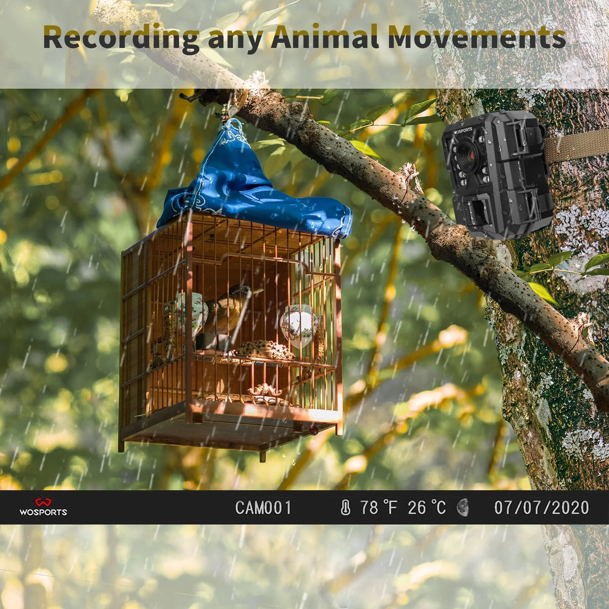Mini Trail Camera 24MP 1080P Waterproof Infrared X98972