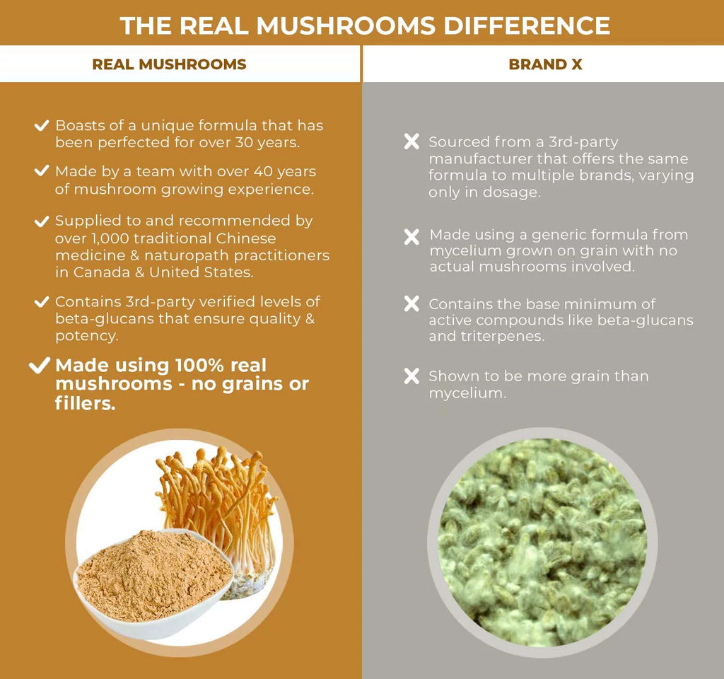 Cordyceps Supplement Y4264