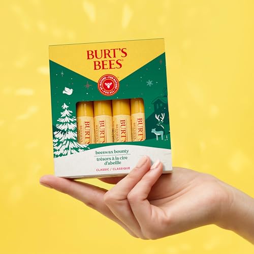 4 Pack Fruit Lip Balm T212