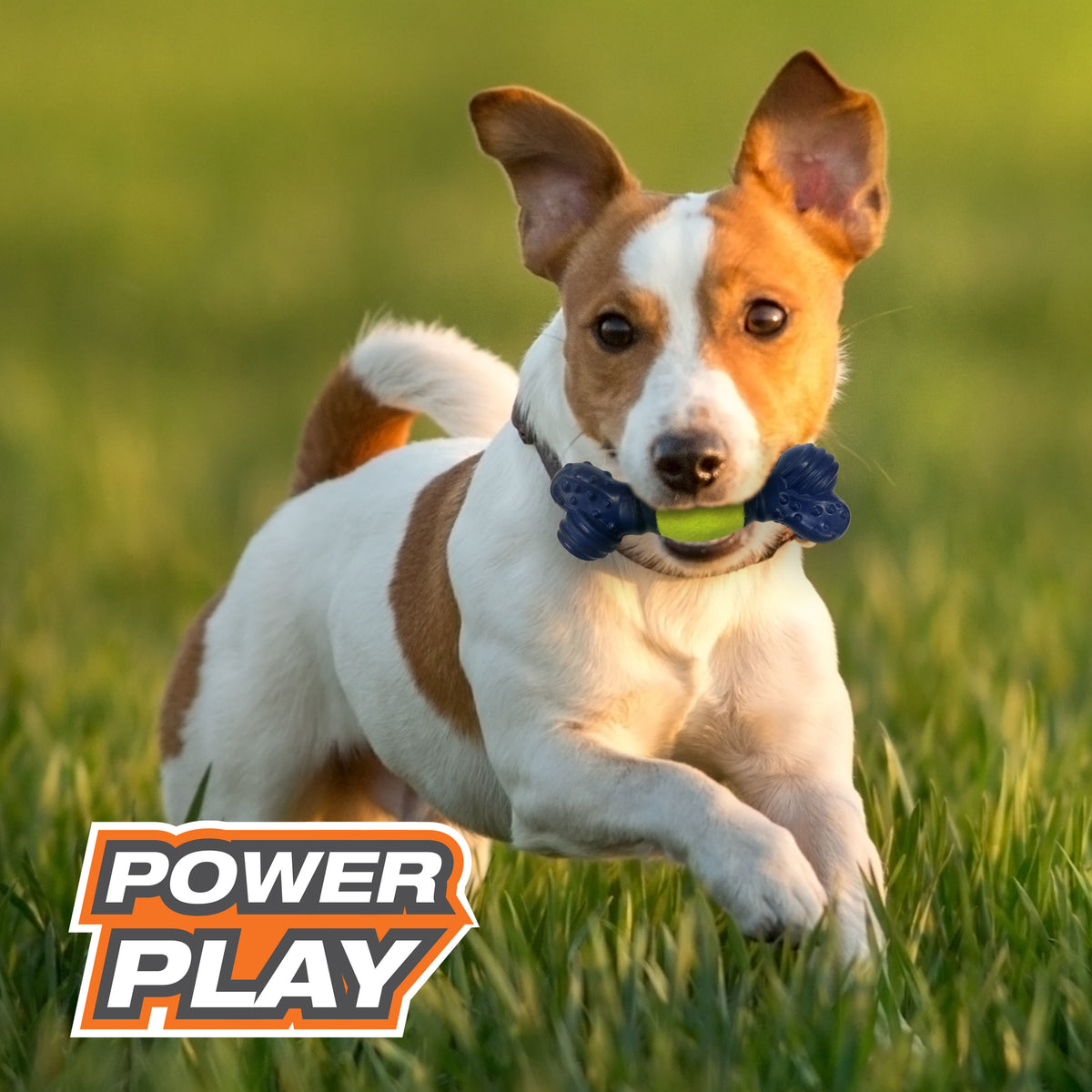 Tennis Play 'n Fetch Interactive Dog Toy Y103497