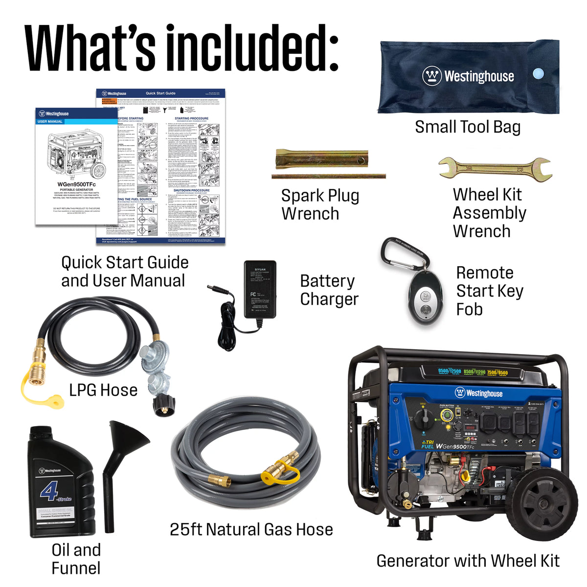 12,500 Peak Watt Dual Fuel Portable Generator A376