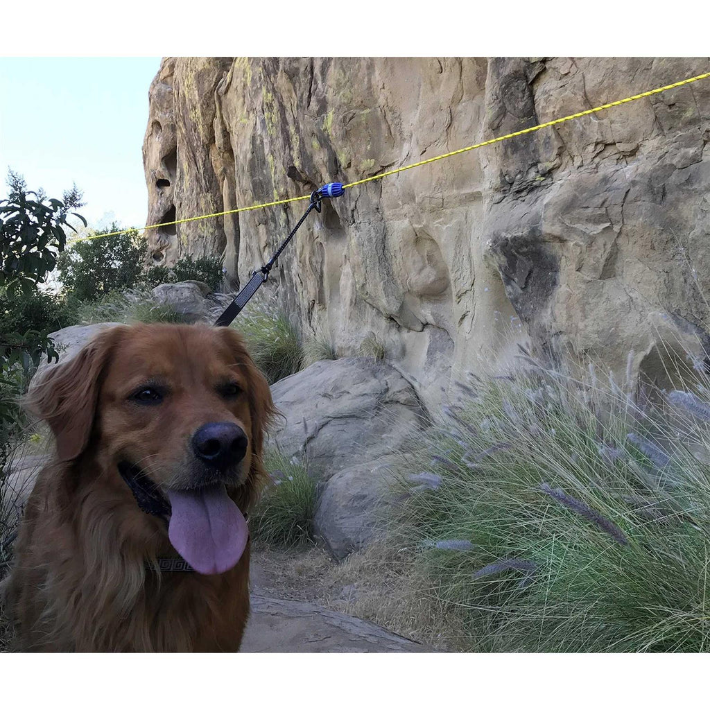 Aerial Dog Run Zip Line Trolley System I9799
