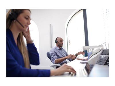 Wireless Headset W924