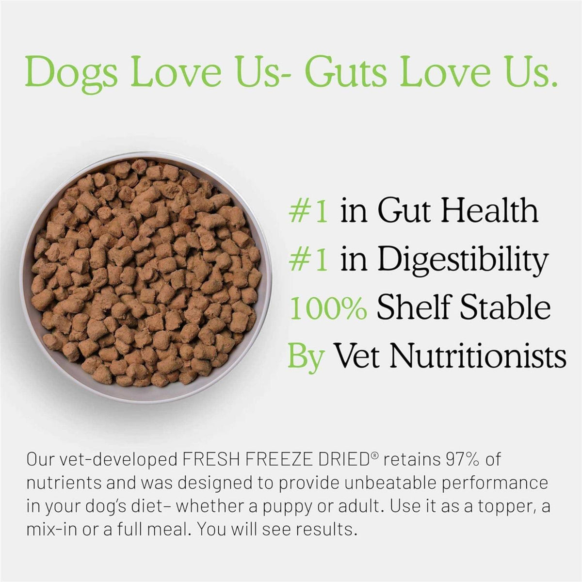 Freeze Dried Raw Beef Dog Food D214