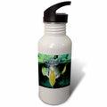 Sports Water Bottle B176092