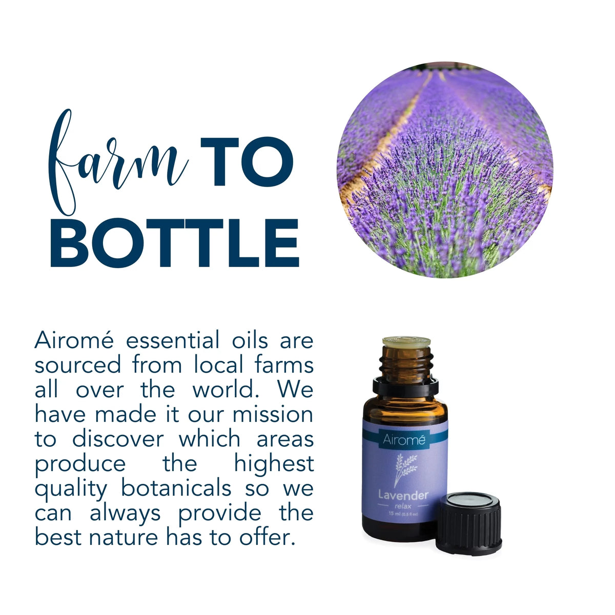Organic Lavender Essential Oil 2 Pack C46269