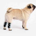 Short Rear Leg Support Small Dog Splint Braces Y4254